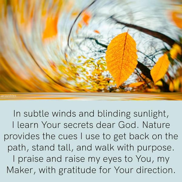 In subtle winds and blinding sunlight, I learn Your secrets dear God. Nature provides the cues I use to get back on the path, to stand straight, and to walk with purpose. I praise and
raise my eyes to You, my Maker, with gratitude for Your direction.