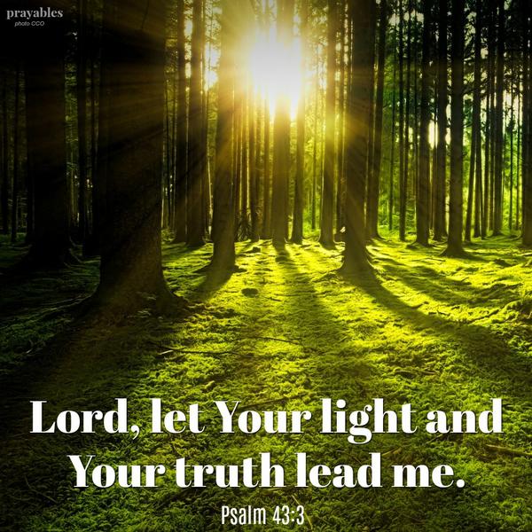 Psalm 43:3 Lord, let Your light and Your truth lead me.