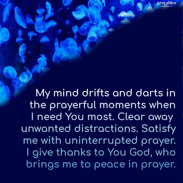 My mind drifts and darts in the prayerful moments when I need You most. Clear away unwanted distractions. Satisfy me with uninterrupted prayer. I give thanks to You God, who
brings me to peace in prayer.