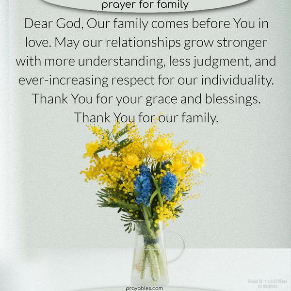 Dear God, Our family comes before You in love. May our relationships grow stronger with more understanding, less judgment, and ever-increasing respect for our individuality. Thank You for your grace and blessings. Thank You for our family.