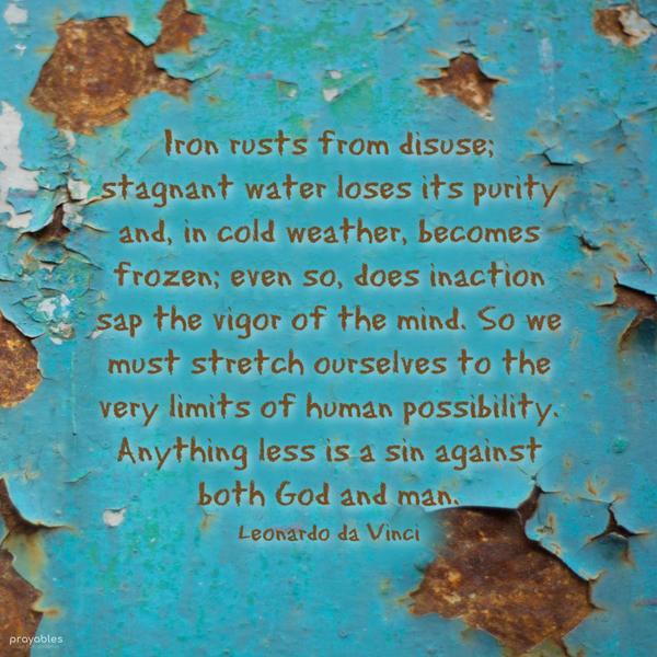 Iron rusts from disuse; stagnant water loses its purity and, in cold weather, becomes frozen; even so, does inaction sap the vigor of the mind. So we must stretch ourselves to the very
limits of human possibility. Anything less is a sin against both God and man. Leonardo da Vinci