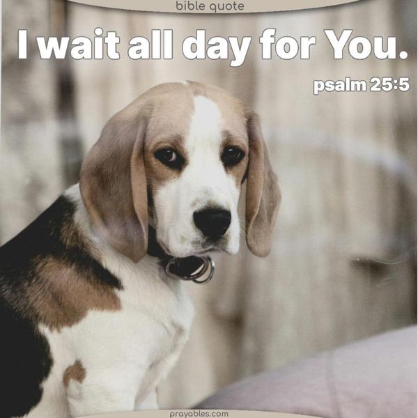 I wait all day for You. Psalm 25:5