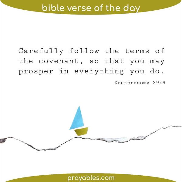 Deuteronomy 29:9 Carefully follow the terms of the covenant, so that you may prosper in everything you do.