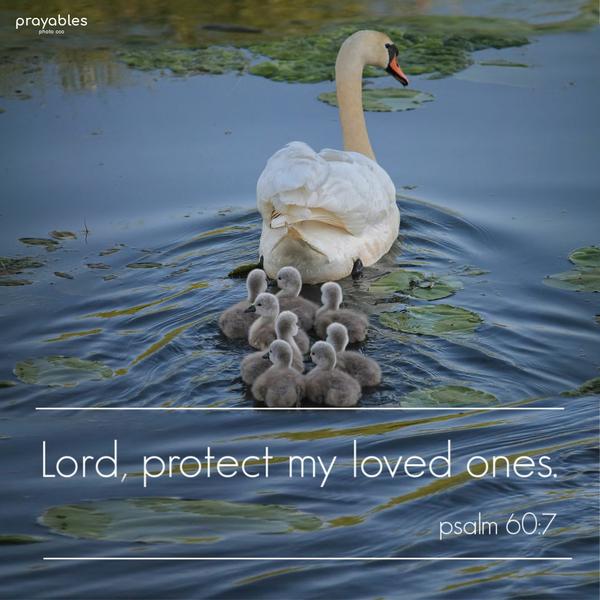 Psalm 60:7 Lord, protect my loved ones.