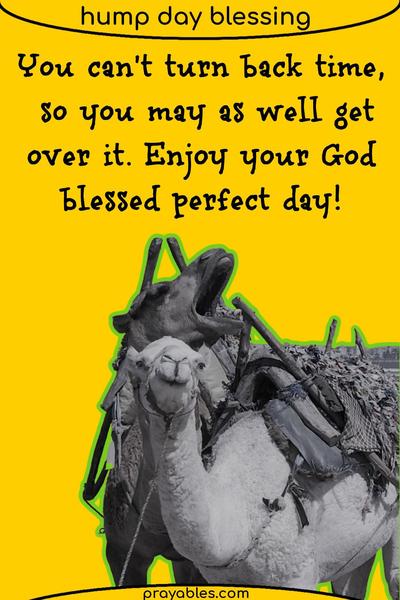 You can’t turn back time, so you may as well get over it. Enjoy your God-blessed perfect day!