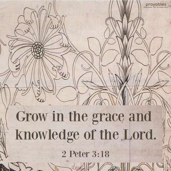 2 Peter 3:18 Grow in the grace and knowledge of the Lord.