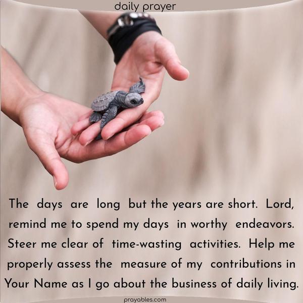 The days are long, but the years are short. Lord, remind me to spend my days in worthy endeavors. Steer me clear of time-wasting activities. Help me properly assess the measure of my contributions in Your Name as I go about the business of daily living.