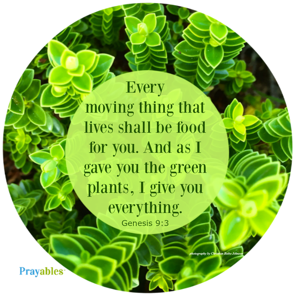 Every moving thing shall be food for you. And as I gave you the green plants I give you everything Genesis 9:3