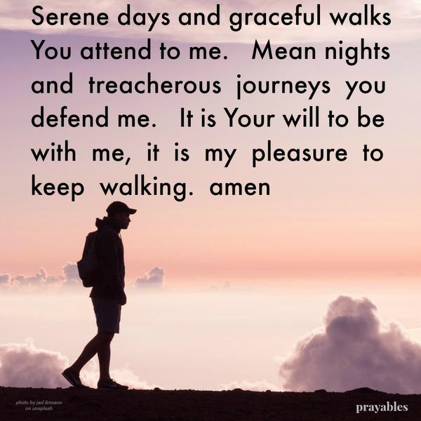 Serene days and graceful walks You attend to me. Mean nights and treacherous journeys you defend me. It is Your will to be with me, it is my pleasure to keep walking. amen