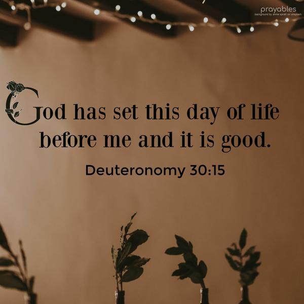 God has set this day of life before me and it is good.  Deuteronomy 30:15