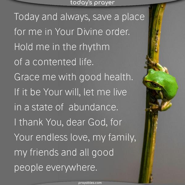 Today and always, save a place for me in Your Divine order.Hold me in the rhythm of a contented life. Grace me with good health. If it be Your will, let me live in a state of  abundance.  I thank You, dear God, for Your endless love, my family, my friends and all good people everywhere.