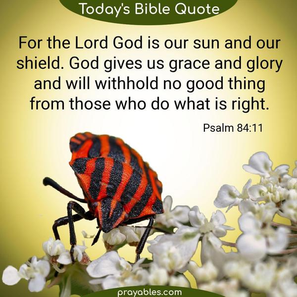 Psalm 84:11 For the Lord God is our sun and our shield. God gives us grace and glory and will withhold no good thing from those who do what is
right.