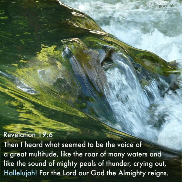 Revelation 19:6 Then I heard what seemed to be the voice of a great multitude, like the roar of many waters and like the sound of mighty peals of thunder, crying out,
Hallelujah! For the Lord our God the Almighty reigns.