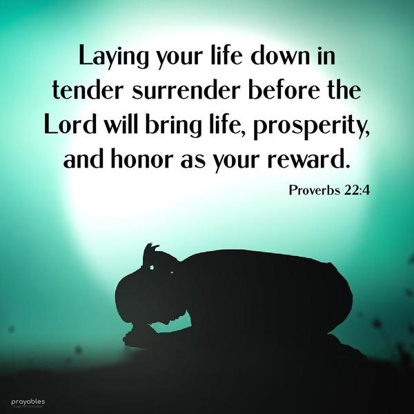 Proverbs 22:4 Laying your life down in tender surrender before the Lord will bring life, prosperity, and honor as your reward.