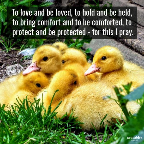 To love and be loved, to hold and be held, to bring comfort and to be comforted, to protect and be protected – for this I pray.