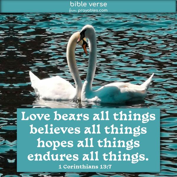 Love bears all things, believes all things, hopes all things, endures all things. 1 Corinthians 13:7