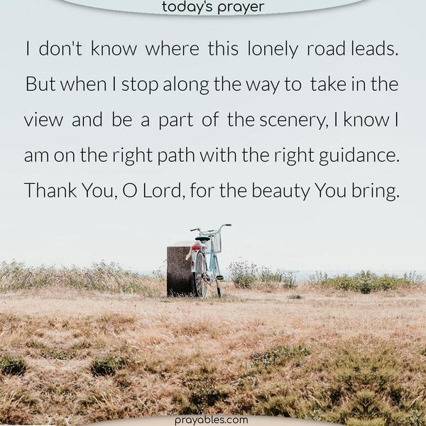 I don't know where this lonely road leads. But when I stop along the way to take in the view and be a part of the scenery, I know I am on the right path with the right guidance. Thank You, O Lord, for the beauty You bring.