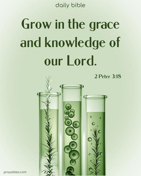 Grow in the grace and knowledge of our Lord. 2 Peter 3:18