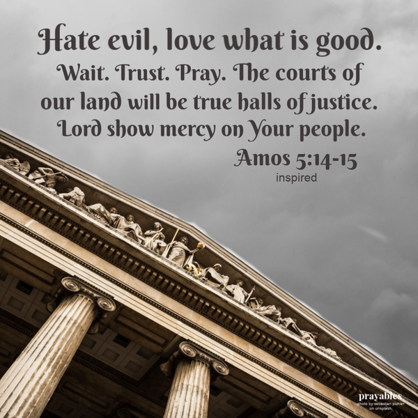 Amos 5:14-15 (inspired) Hate evil. Love what is good. Wait. Trust. Pray. The courts of  our land will be true halls of justice.  Lord show mercy on Your people.