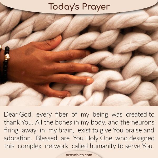 Dear God, every fiber of my being was created to thank You. All the bones in my body, and the neurons firing away in my brain, exist to give You praise and adoration. Blessed
are You Holy One, who designed this complex network called humanity to serve You.