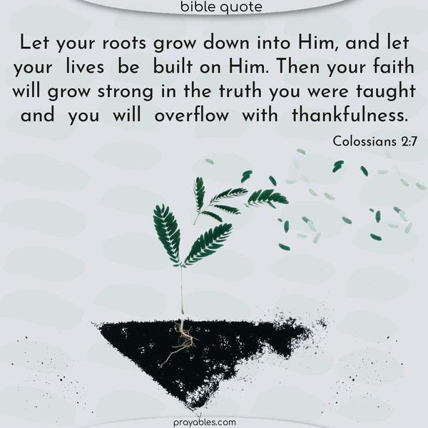 Let your roots grow down into Him, and let your lives be built on Him. Then, your faith will grow strong in the truth you were taught, and you will overflow with thankfulness. Colossians 2:7