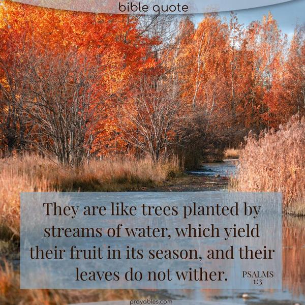 Psalms 1:3 They are like trees planted by streams of water, which yield their fruit in its season, and their leaves do not wither.