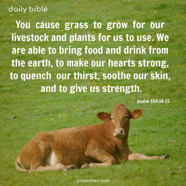 You cause grass to grow for our livestock and plants for us to use. We are able to bring food and drink from the earth, to make our hearts strong, to quench our thirst, soothe our skin, and to give us strength. Psalm 104:14-15