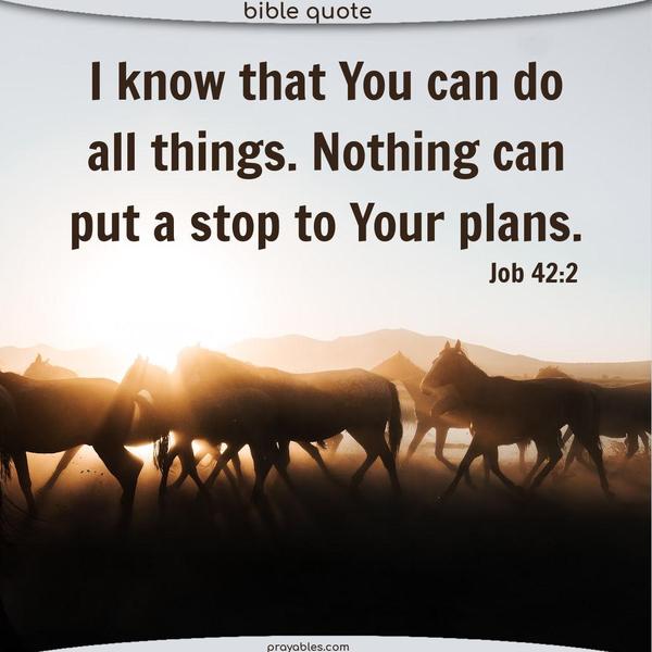 Job 42:2 I know that You can do all things. Nothing can put a stop to Your plans.