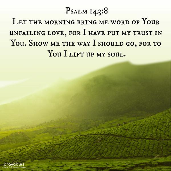 Psalm 143:8 Let the morning bring me word of your unfailing love, for I have put my trust in you. Show me the way I should go, for to you I lift up my
soul.