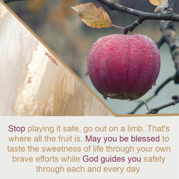 Stop playing it safe, go out on a limb. After all that’s where all the fruit is. May you be blessed to taste the sweetness of life
through your own brave efforts with God guiding you safely through each and every day.