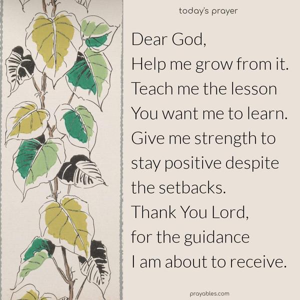 Dear God, help me grow from it. Teach me the lesson You want me to learn. Give me the strength to stay positive despite the setbacks. Thank You Lord, for the guidance I am about to receive.