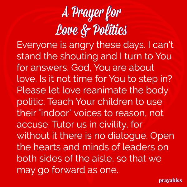 Everyone is angry these days. I can't stand the shouting and I turn to You for answers. God, You are about love. Is it not time for You to step in? Please let love reanimate the body politic. Teach Your children to use their
"indoor" voices to reason, not accuse. Tutor us in civility, for without it there is no dialogue. Open the hearts and minds of leaders on both sides of the aisle, so that we may go forward as one.