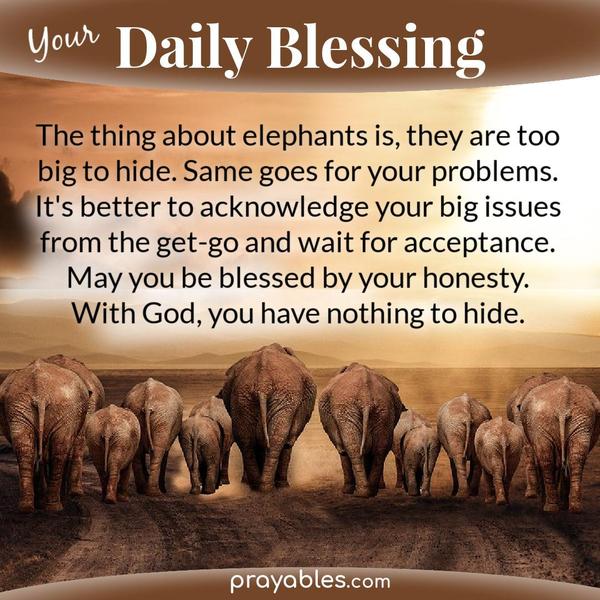 The thing about elephants is, they are too big to hide. The same goes for your problems. It’s better to acknowledge your big issues from the get-go and wait for acceptance.
May you be blessed by your honesty. With God, you have nothing to hide.