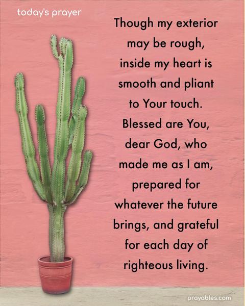 Though my exterior may be rough, inside my heart is smooth and pliant to Your touch. Blessed are You, dear God, who made me as I am, prepared for whatever the future brings, and grateful for each day of righteous living.