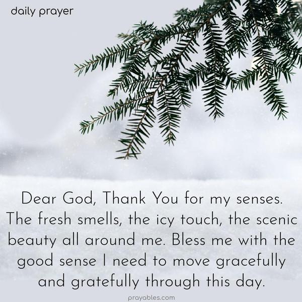 Dear God, Thank You for my senses. The fresh smells, the icy touch, and the scenic beauty all around me. Bless me with the good sense I need to move gracefully and gratefully through this day.
