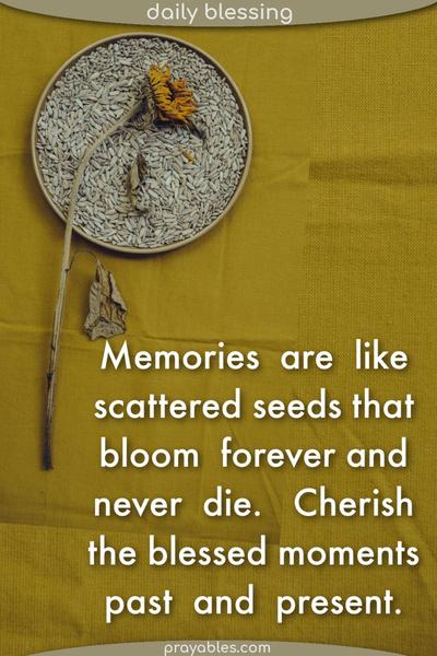 Memories are like scattered seeds that bloom forever and never die. Cherish blessed moments past and present.