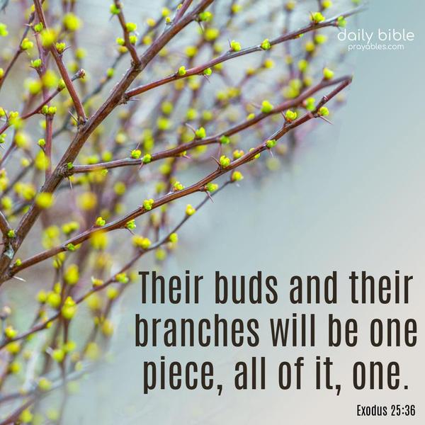 Their buds and their branches will be one piece, all of it, one. Exodus 25:36