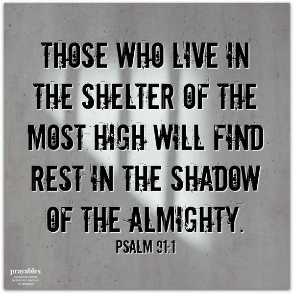 Psalm 91:1 Those who live in the shelter of the Most High will find rest in the shadow of the Almighty.