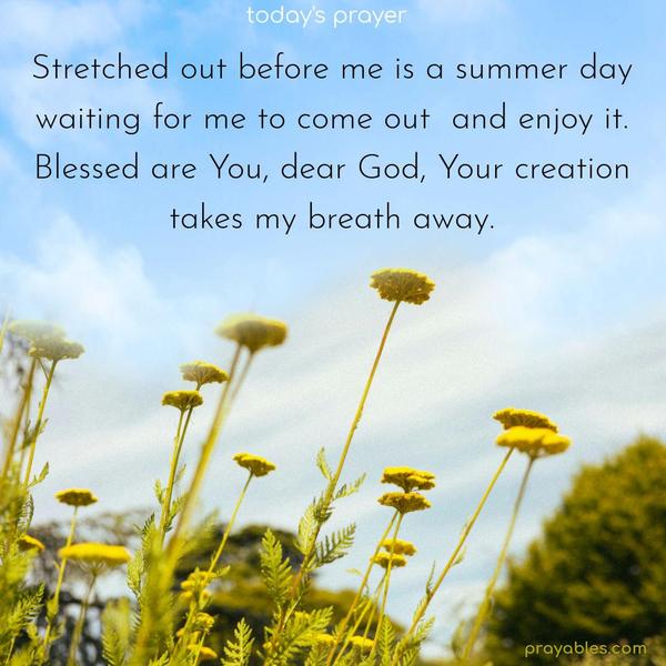 Stretched out before me is a summer day waiting for me to come out and enjoy it. Blessed are You, dear God, Your creation takes my breath away.