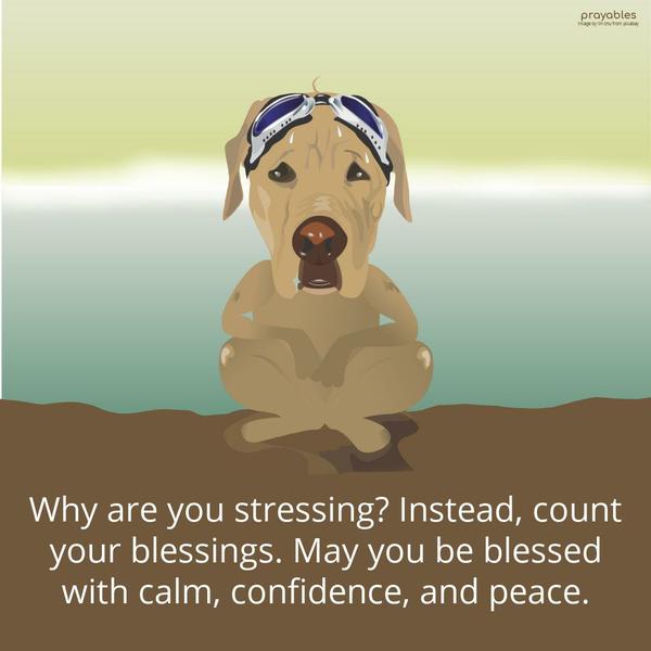 Why are you stressing? Instead, count your blessings. May you be blessed with calm, confidence, and peace.