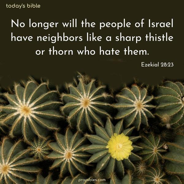 No longer will the people of Israel have neighbors like a sharp thistle or thorn who hate them. Ezekial 28:23