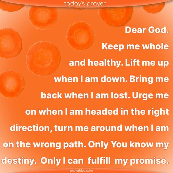 Dear God. Keep me whole and healthy. Lift me up when I am down. Bring me back when I am lost. Urge me on when I am headed in the right direction, turn me around when I am on the wrong path. Only You know my destiny. Only I can fulfill my promise.