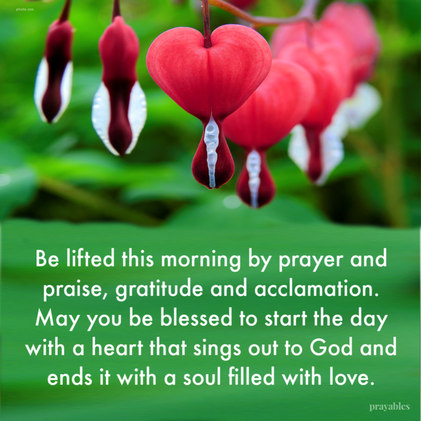 Be lifted this morning by prayer and praise, gratitude and acclamation. May you be blessed to start the day with a heart that sings out to God and ends it with a soul full to overflowing with love. 