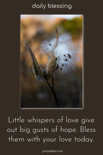 Little whispers of love give out big gusts of hope. Bless them with your love today.