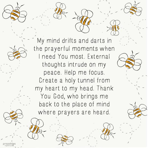 My mind drifts and darts in the prayerful moments when I need You most. External thoughts intrude on my peace. Help me focus. Create a holy tunnel from my heart to my head. Thank You, God,
who brings me back to the place of mind where prayers are heard.