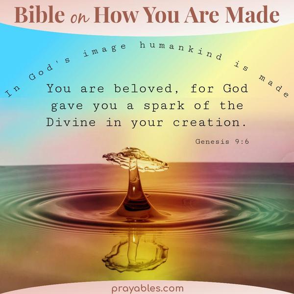 Genesis 9:6 In God's image, humankind is made. You are beloved, for God gave you a spark of the Divine in your creation.