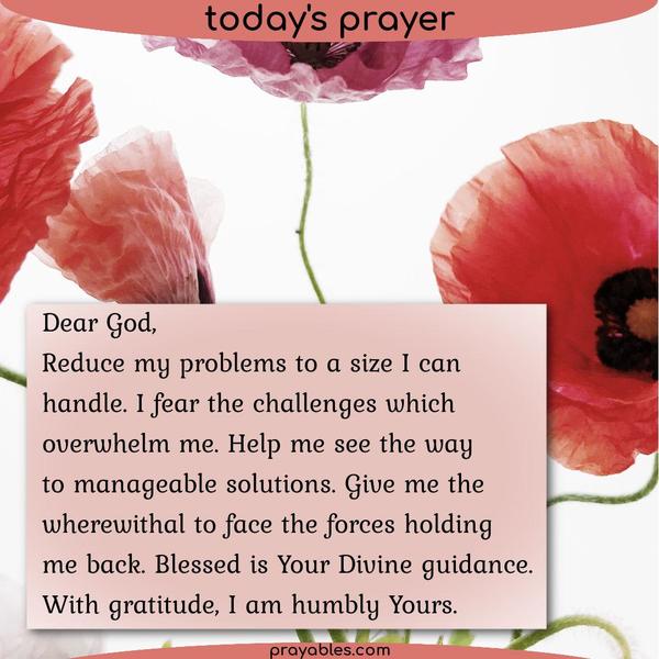 Dear God, Reduce my problems to a size I can handle. I fear the challenges that overwhelm me. Help me see the way to manageable solutions. Give me the
wherewithal to face the forces holding me back. Blessed is Your Divine guidance. With gratitude, I am humbly Yours.