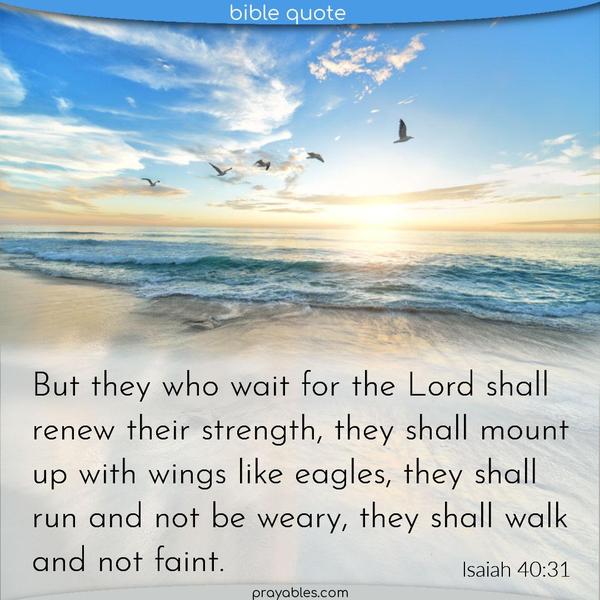 Isaiah 40:31 But they who wait for the Lord shall renew their strength. They shall mount up with wings like eagles, they shall run and not be
weary, they shall walk and not faint. 