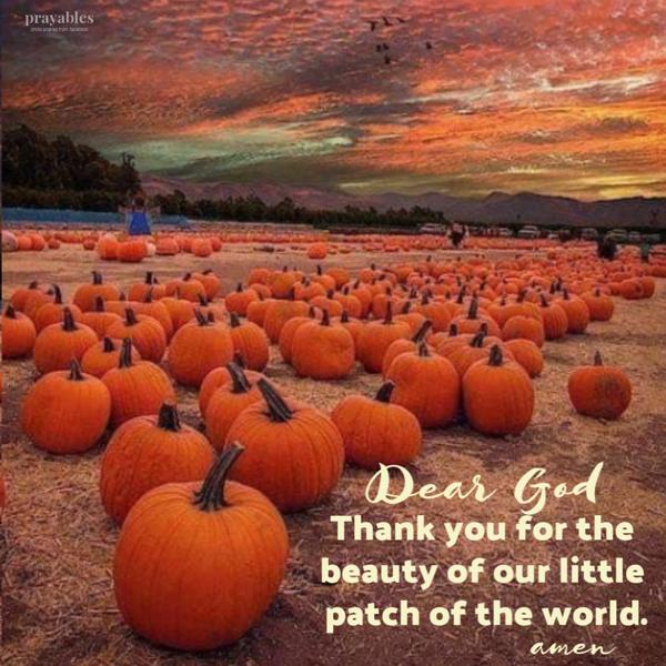 Dear God, Thank you for the beauty of our little patch of the world. 