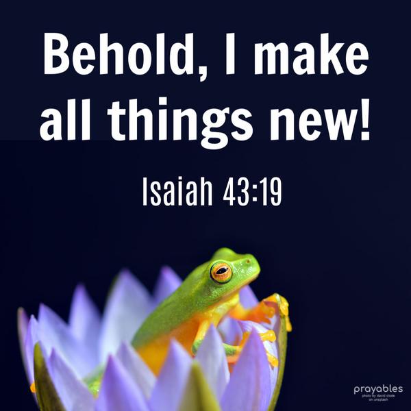 Isaiah 43:19 Behold, I make all things new!